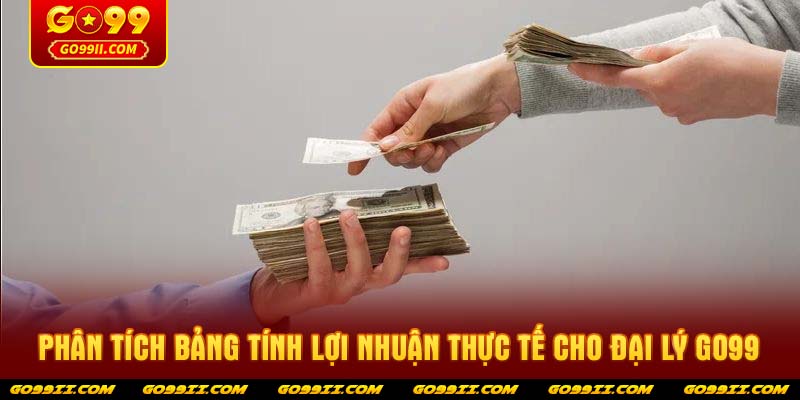Phân tích bảng tính lợi nhuận thực tế cho Đại lý GO99